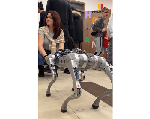 Hétmilliós robotkutya Mórahalmon.